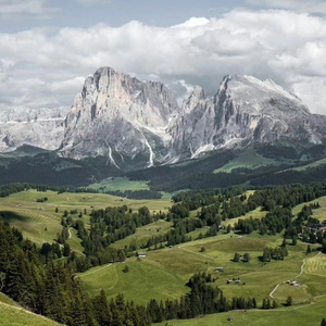 弦上京华春（惜音xinyyy remix）