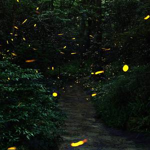 给琪琪老师的一封信