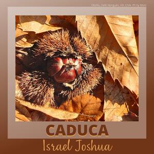 Caduca