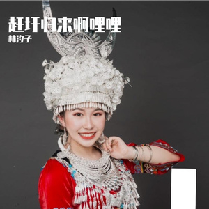 赶圩归来阿哩哩