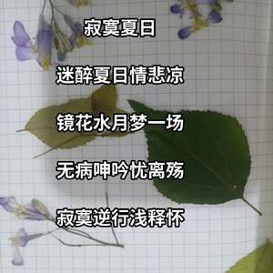 音为是你