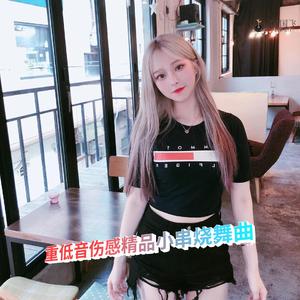 DJ国飞-重低音伤感精品小串烧舞曲（DJ国飞 remix）