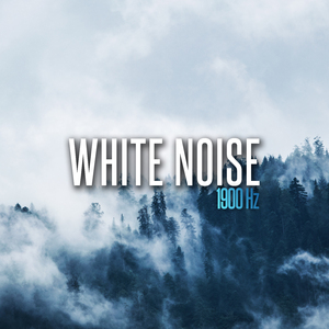 White Noise 1900 Hz, Pt. 19