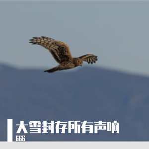 墨西哥城的下沉咳喘