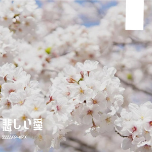 悲しい愛