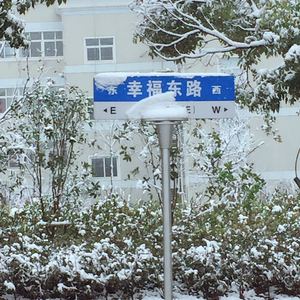 每个冬天来临前我都感到绝望