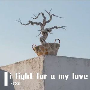 i fight for u my love