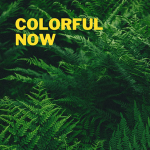 Colorful Now