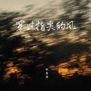 穿过我指尖的风 (0.9x)