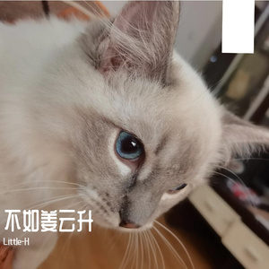 姜云升-SAD（Little-H remix）