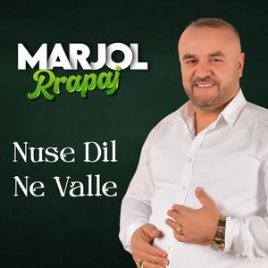 Nuse Dil Ne Valle