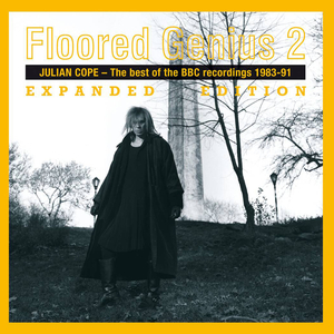 You Think It's Love (Peel Session 11/04/1991)