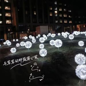 蒲公英的旁白
