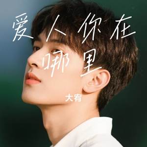 爱人你在哪里