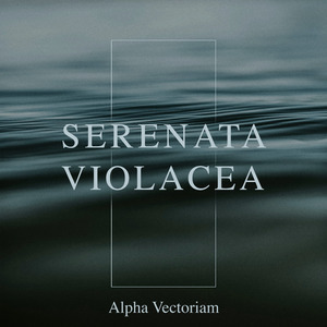 Serenata Violacea