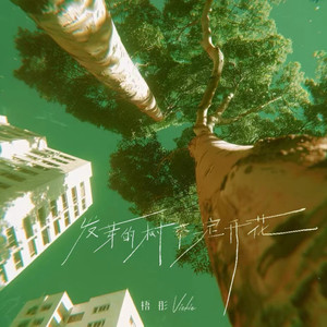 发芽的树不一定开花 (伴奏)