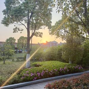 ee5b8cc45d9cee6e9990c8005691155211ab0369