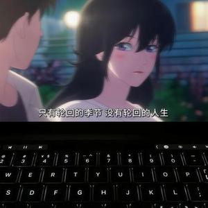 风与玫瑰