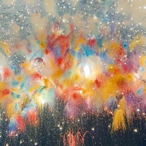 怕真心说得太满