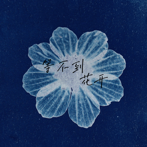 等不来花开(伴奏)
