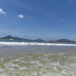 等我把我养的人养大