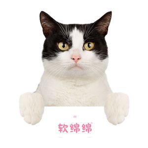 软绵绵 (猫咪安抚)