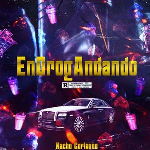 Endrogandando