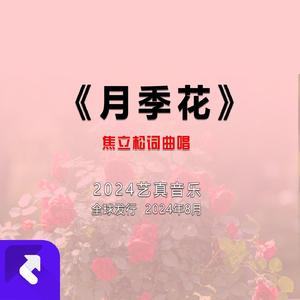 月季花 (现场)