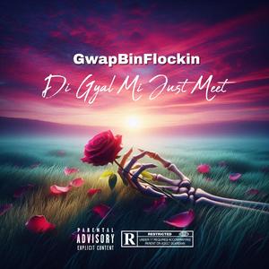 Di Gyal Mi Just Meet