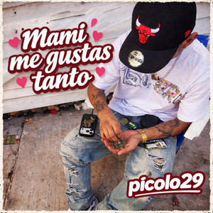 Mami me gustas tanto (Demo)