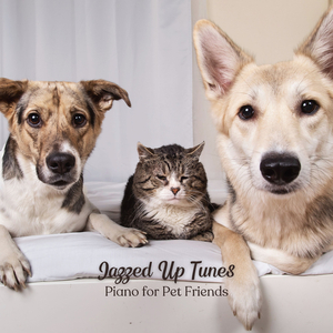 Playful Pounce Serenade