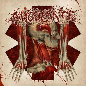 Meticulous Anatomy Diagnosis