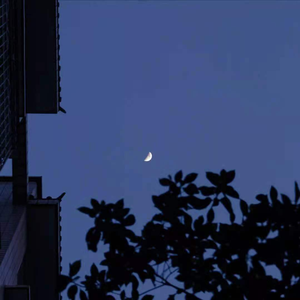 太难了