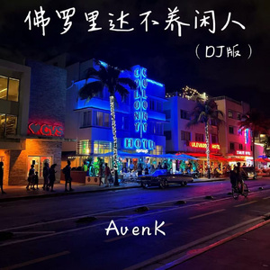 佛罗里达不养闲人（DJ版）