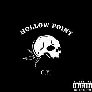 Hollow Point