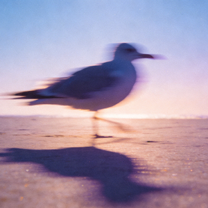 就当你死在离开我的那天