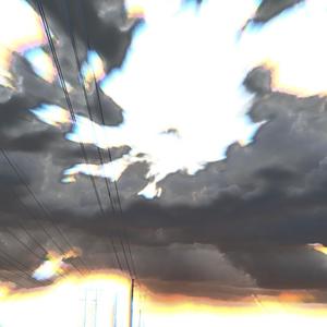 Stop Watering Dead Plants (feat. Saveroku)