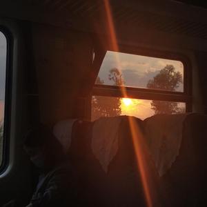 一腔诗意喂了狗