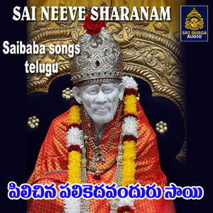 Pilichina Palikedavanduru Sai