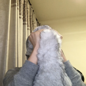 自白书1.0（DEMO）