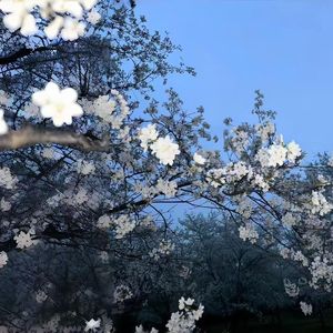 那个午后-