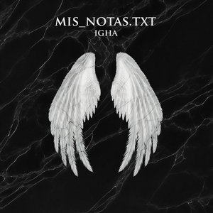Mis_Notas.Txt