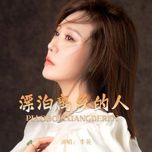 漂泊离乡的人 (DJ版)