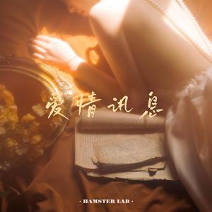 爱情讯息 (R&B版)