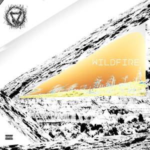 Wildfire
