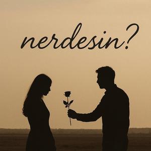 NERDESİN?