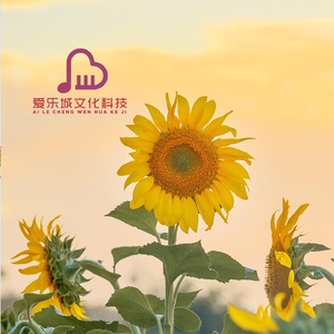 朦胧烟雨天（清晨纯音乐 轻松音乐）