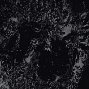 Transonic Mahasamadhi