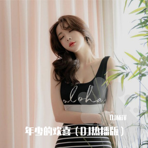 年少的欢喜（DJ热播版）