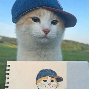 molang